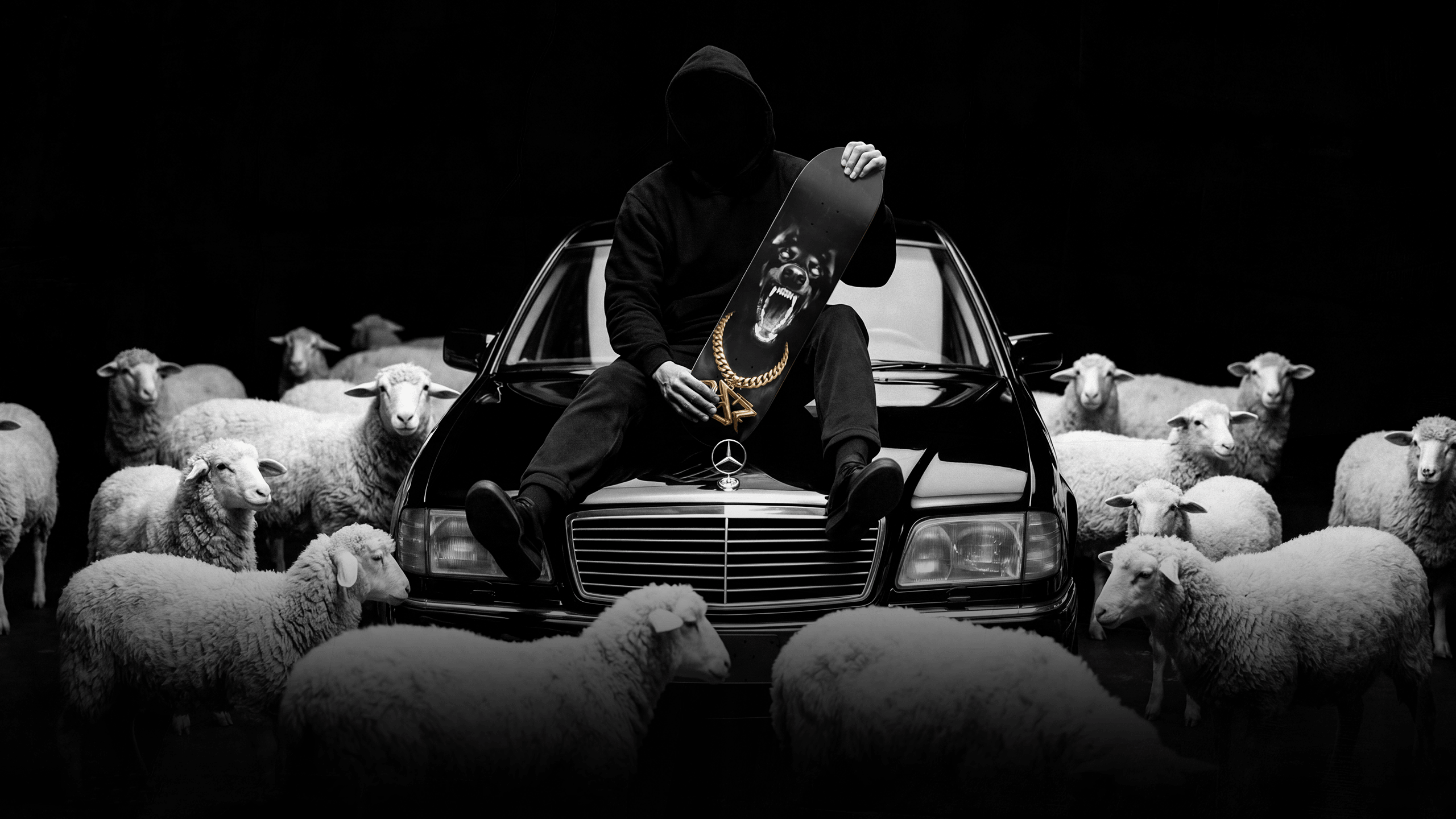 Hooded figure holding the dobermann deck on the bonnet of a black Mercedes, surrounded by sheep